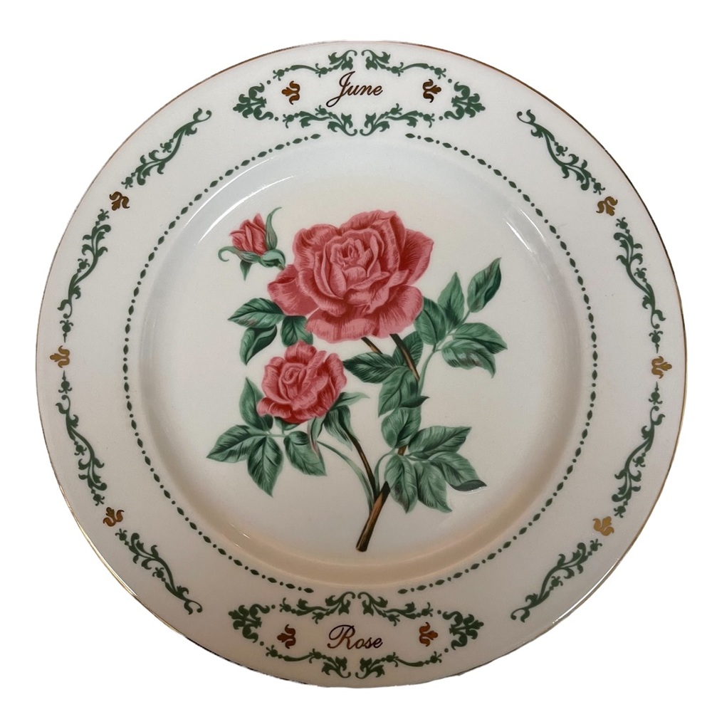 Domestications Dinner Plate